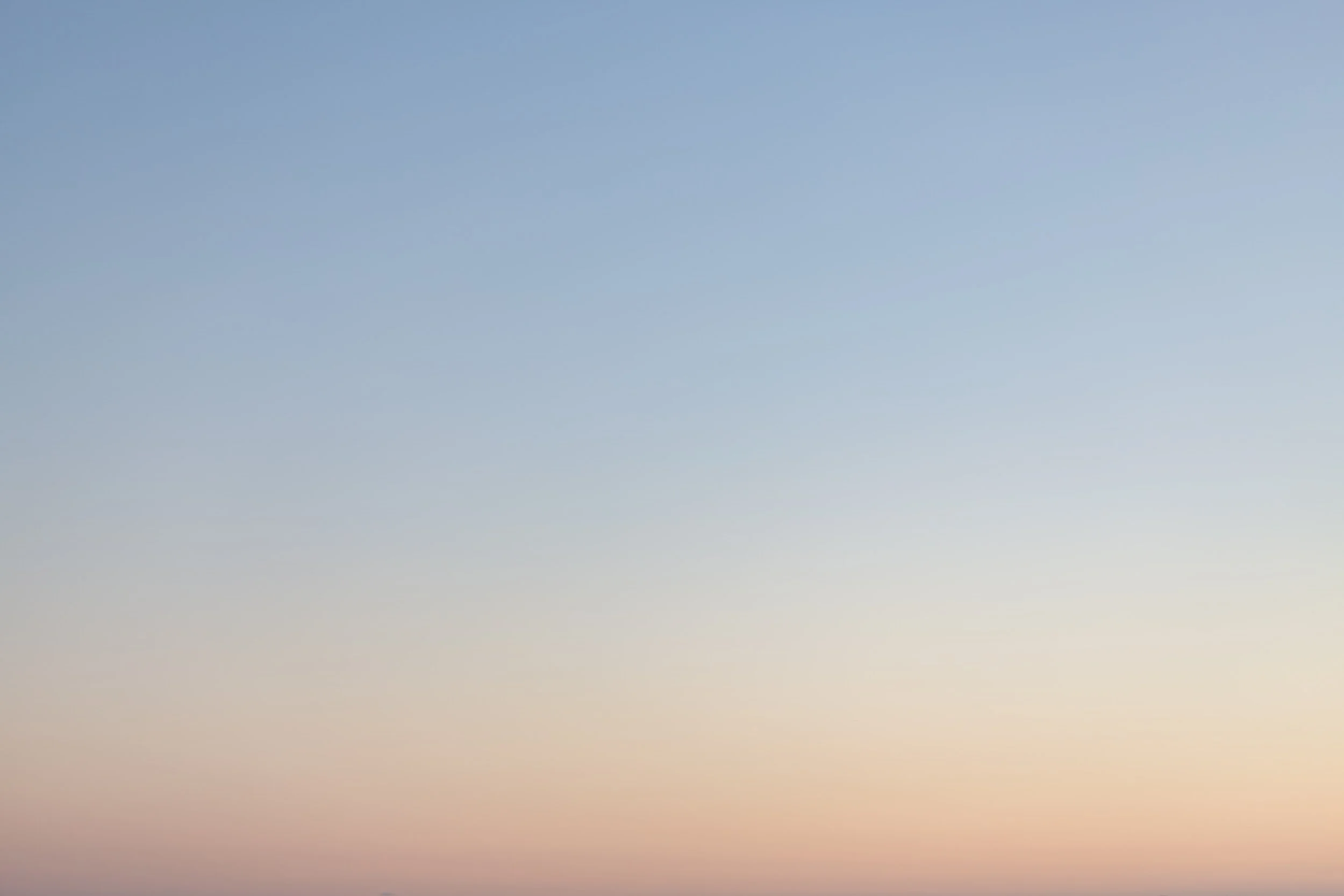 cesar-couto-pC2xOplxsVs-unsplash.jpg