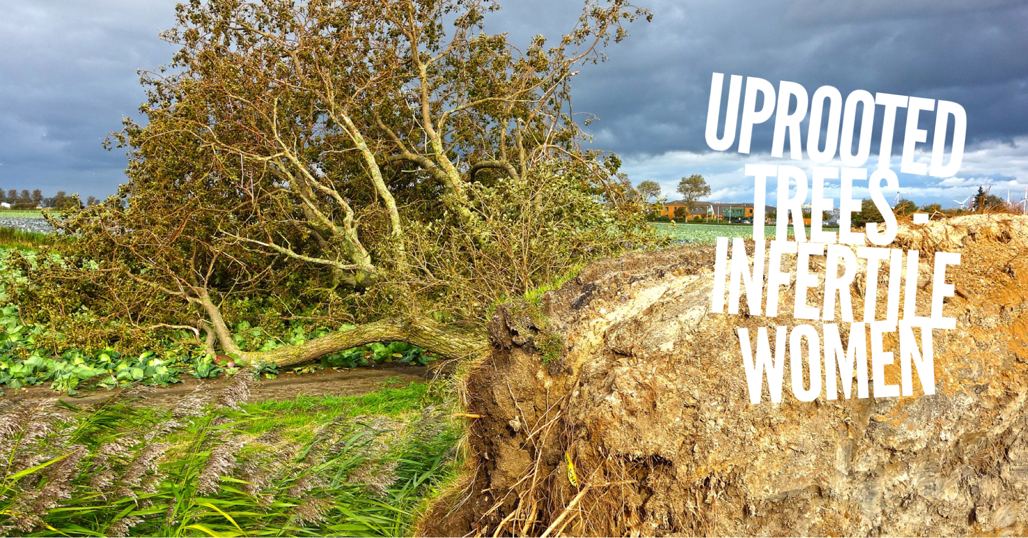 Uprooted Trees, Infertile Women 