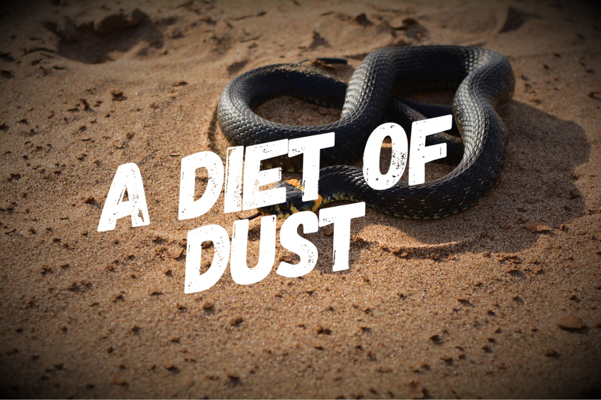 A Diet of Dust 