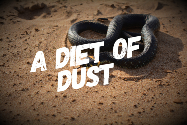 Do Snakes Eat Dust?
