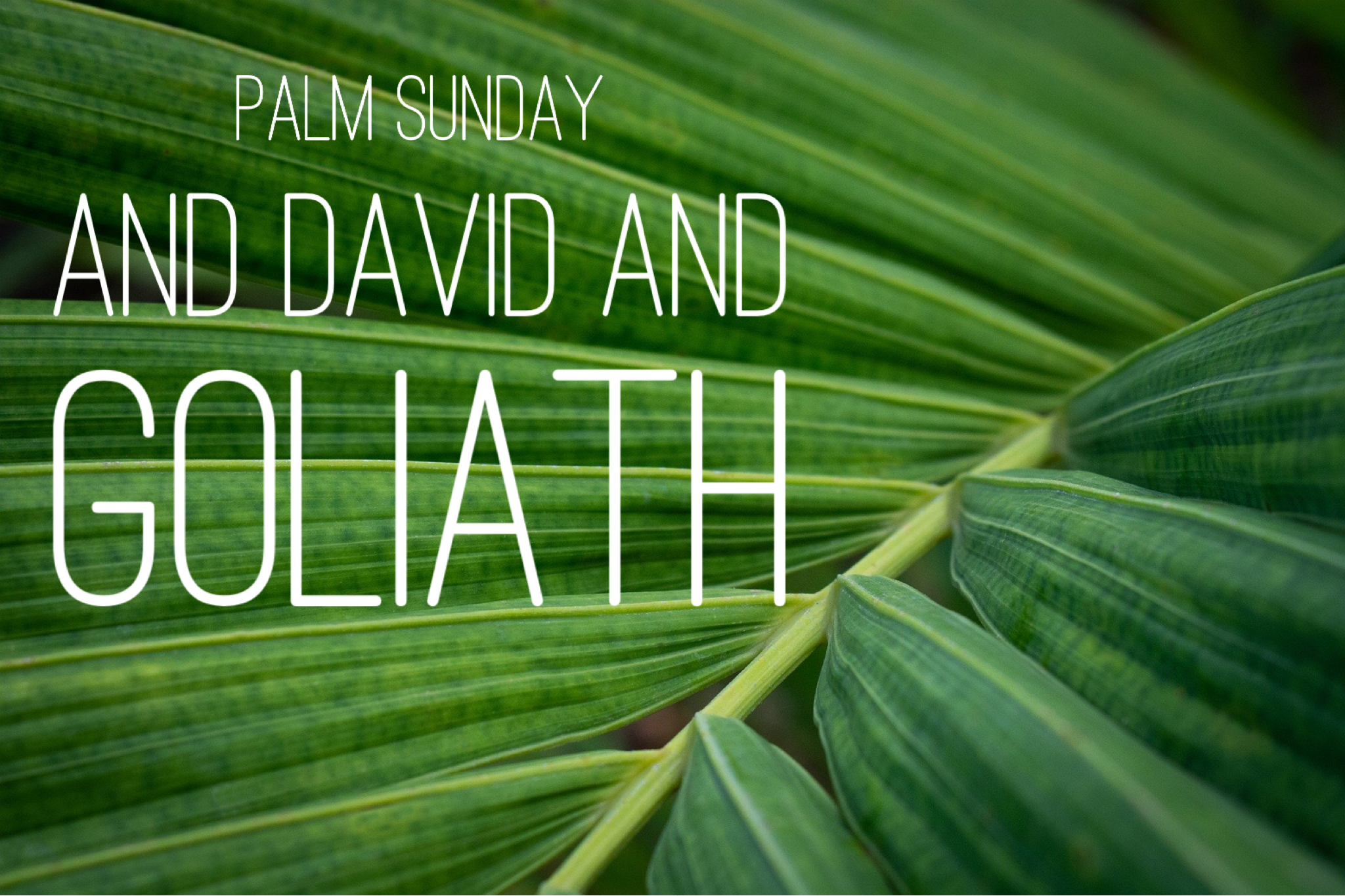David and Goliath on Palm Sunday 