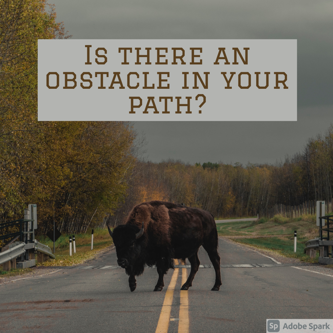 Is There an Obstacle in Your Path?