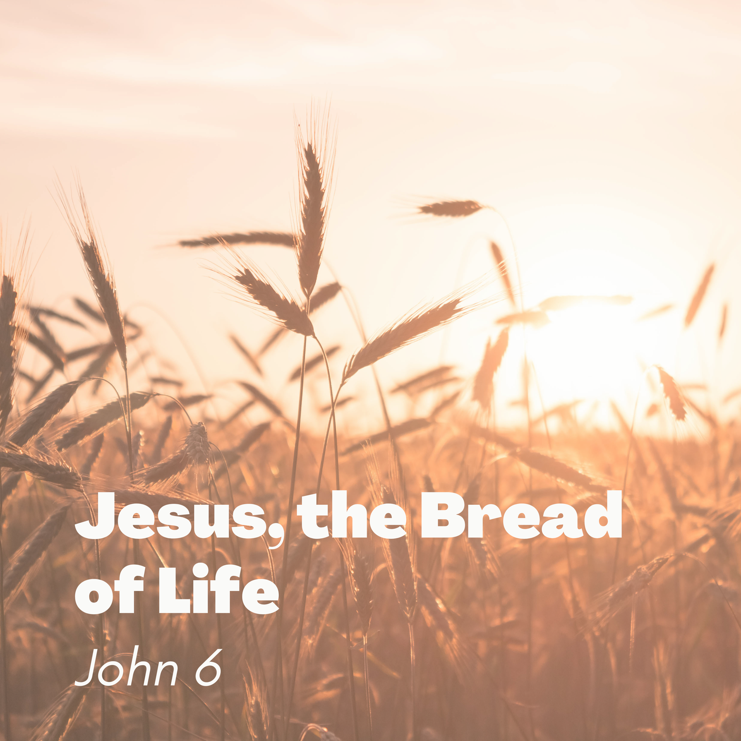 01.08.23 - "Jesus, the Bread of Life," John 6