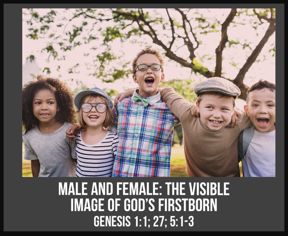Male and Female: The Visible Image of God’s Firstborn