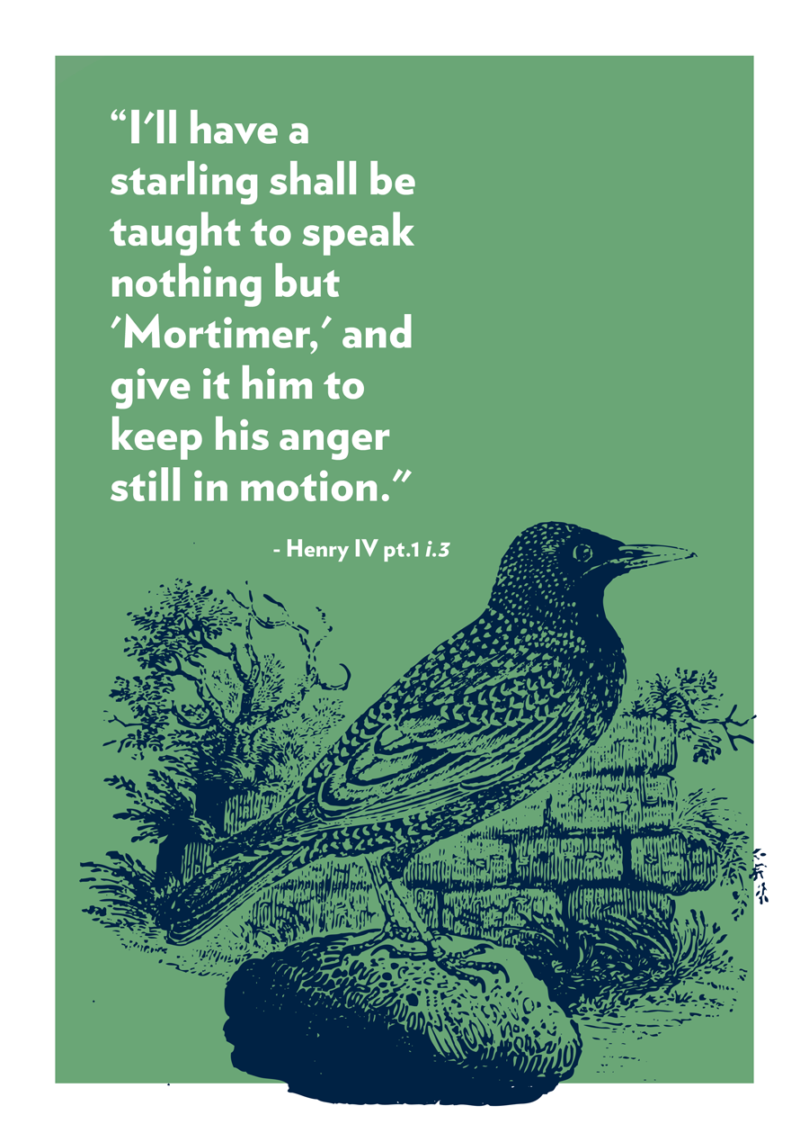 Poster - Starling_sm.png