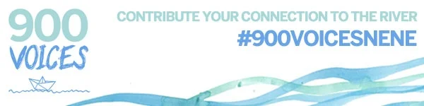900 voices banner.jpg