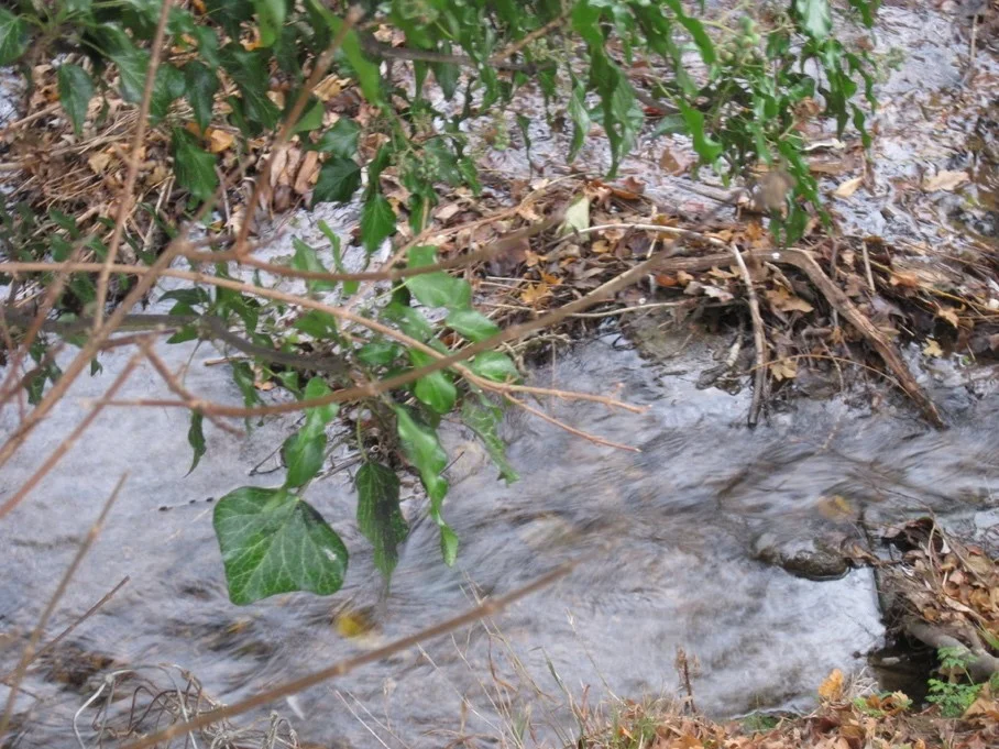 First water sample collection point at Newnham