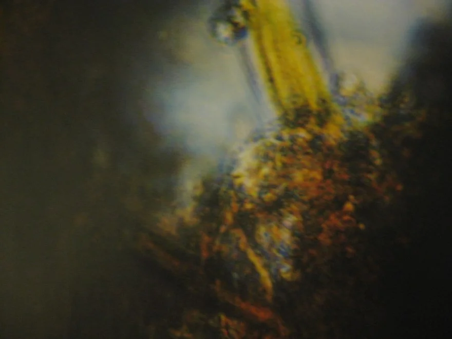 Blog 3 pic 7.jpg