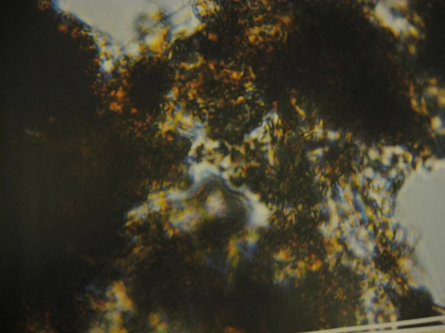 Blog 3 pic 9.jpg