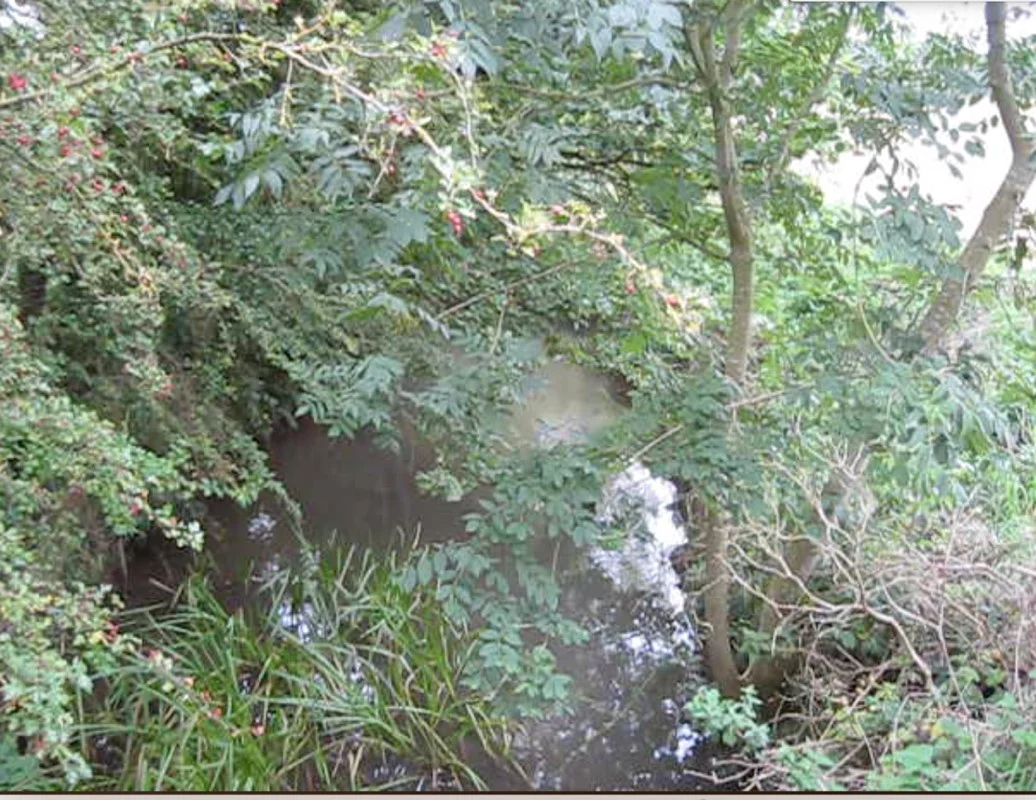 The river site at Newnham