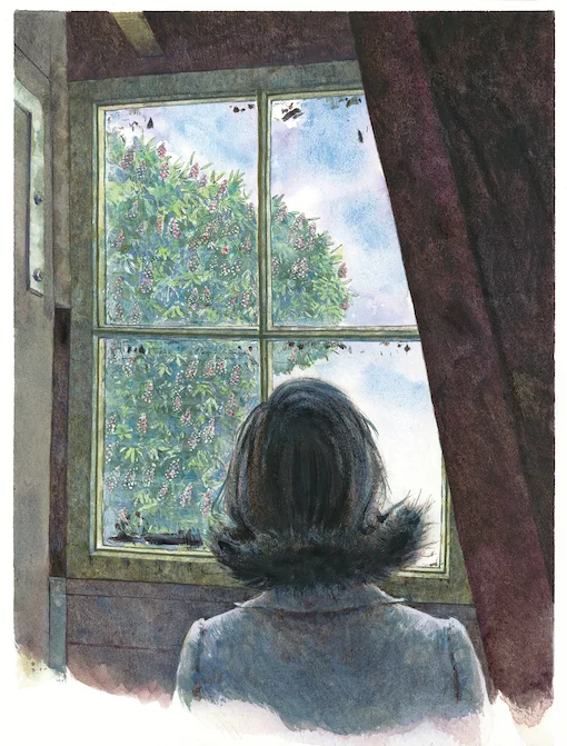 Anne would look out of the attic window of the Secret Annex to the large chestnut tree, the sky and the birds. (Illustration by Huck Scarry, from p. 24 of All About Anne © Anne Frank House)