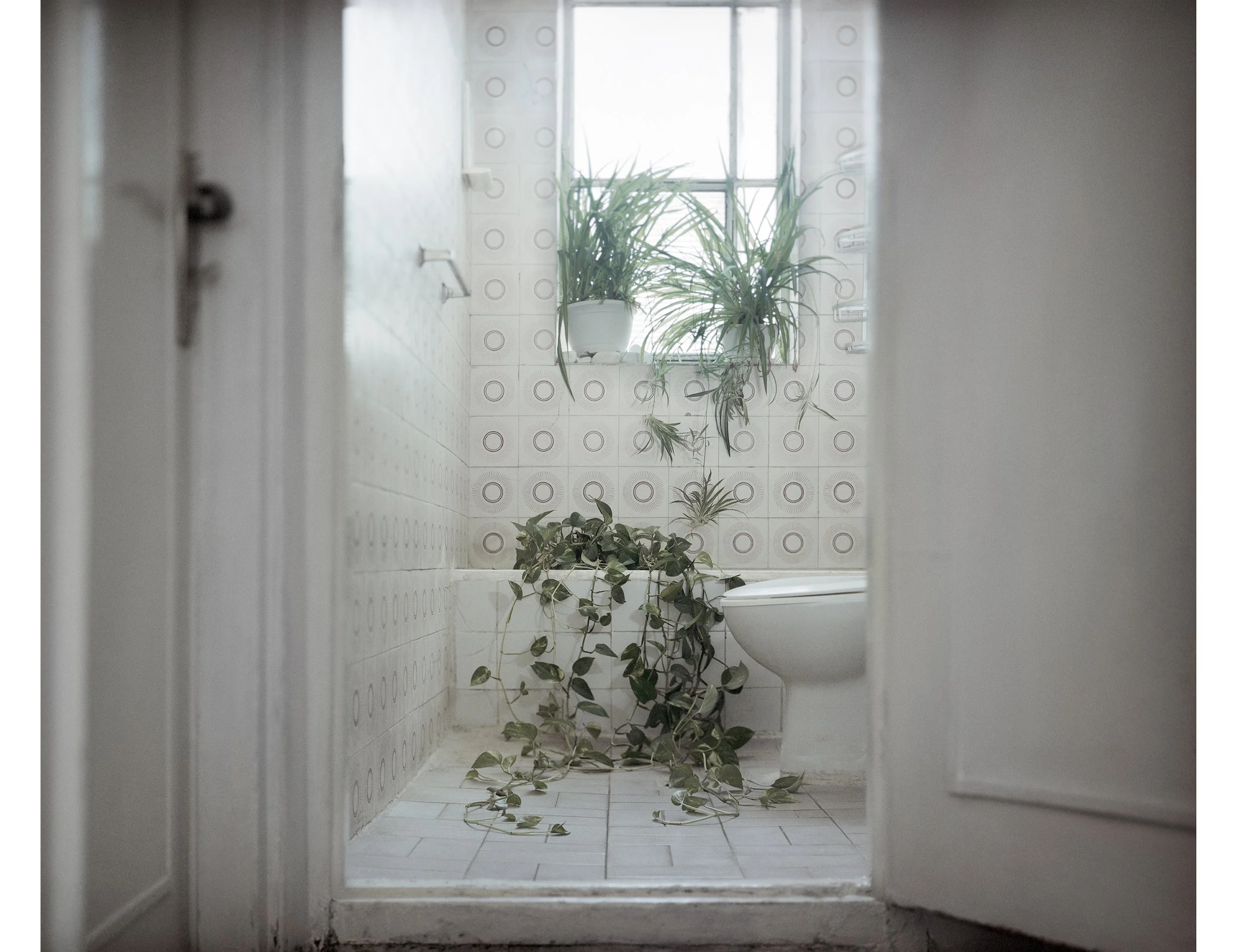 casa de yaya ducha.jpg