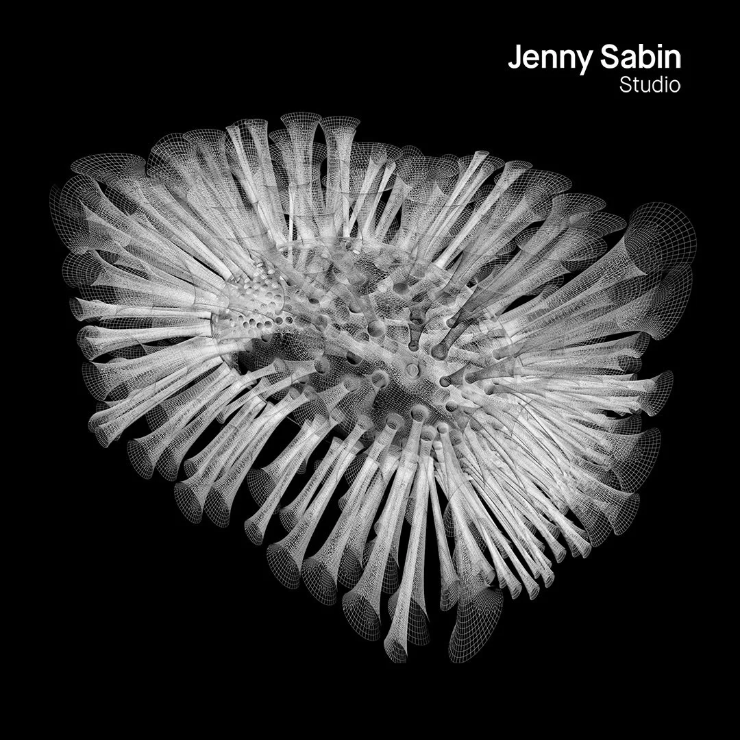 MyThread Pavillion | Drawings
.
.
These drawings capture the generative process of the myThread Pavilion (2012), a project commissioned by Nike for the International Nike FlyKnit Collective. As Jenny Sabin led the NYC FlyKnit Collective, motion data 