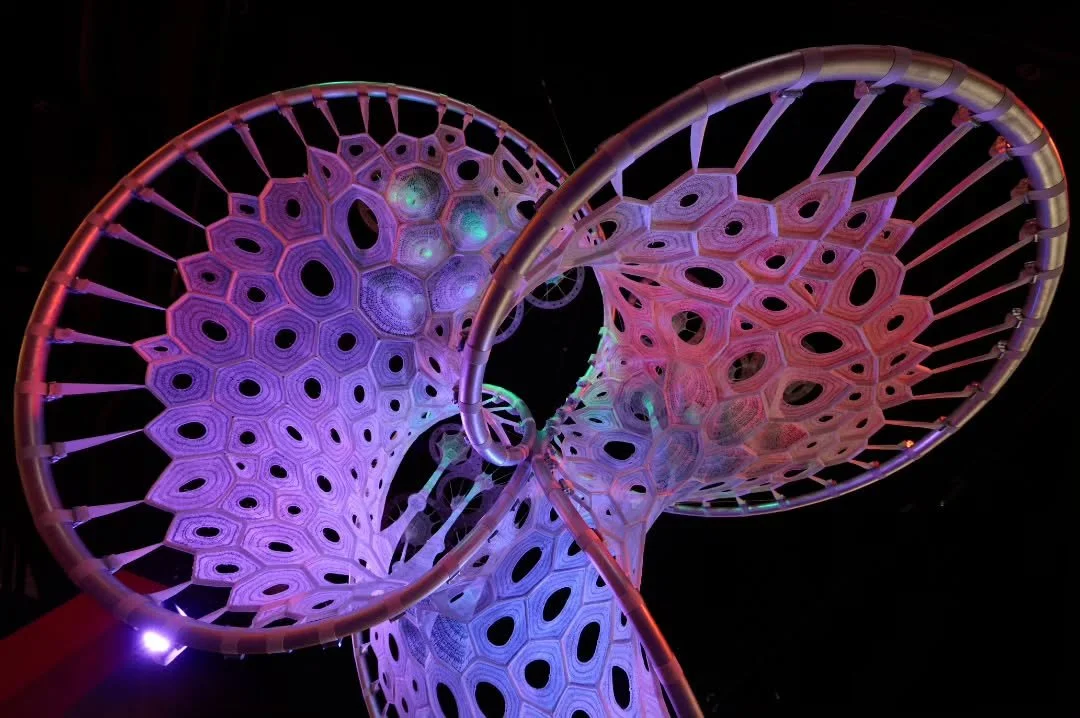 Data as Design 

While the lighting system responds to energy data, the form of The Heart is also shaped by mathematical principles. Our design process often begins with generative algorithms, computational methods that translate patterns such as rhy