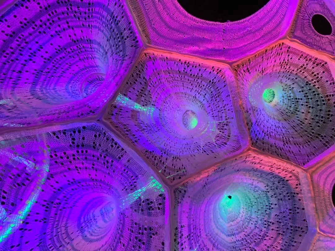 Material Intelligence

Material innovation is central to The Heart. It is constructed from digitally knitted textiles made of advanced responsive yarns. These high-tech fibers are capable of reacting to light, storing energy, and glowing when activat