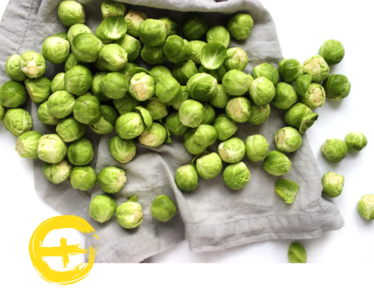 image sprouts.jpg