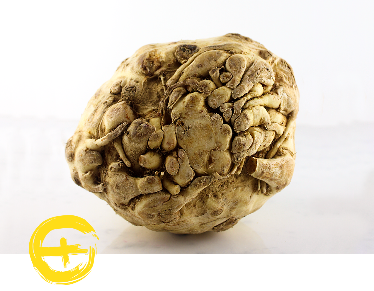 celeriac image.png