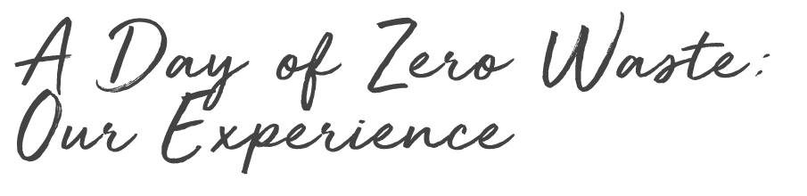 text a day of zero waste our experience.png
