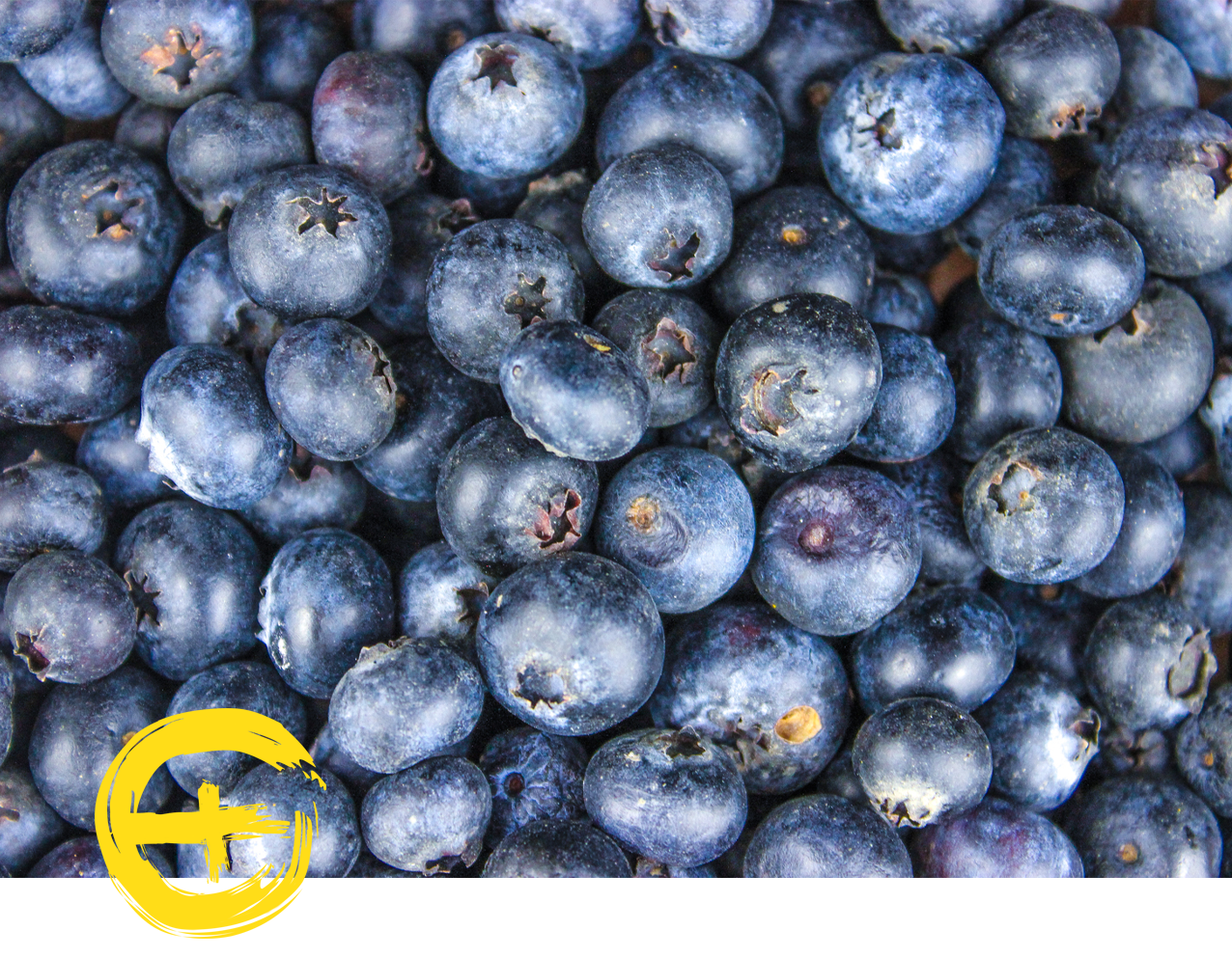 image seasonal ingredient blueberries.png