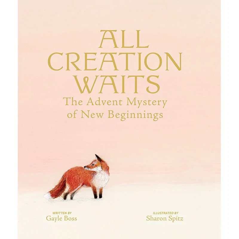 All Creation Waits Deluxe Cover