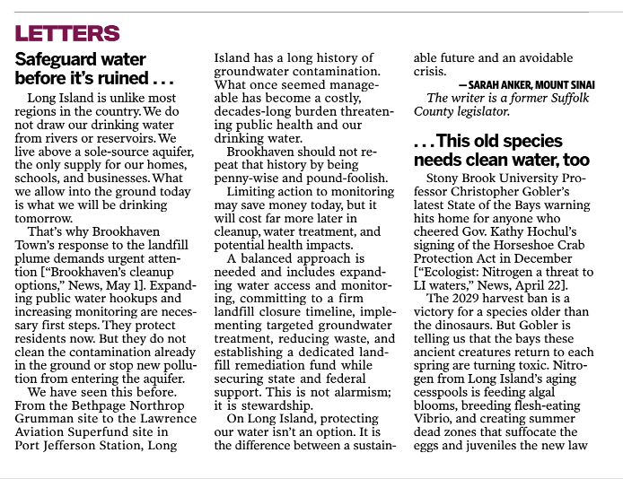 Newsday
