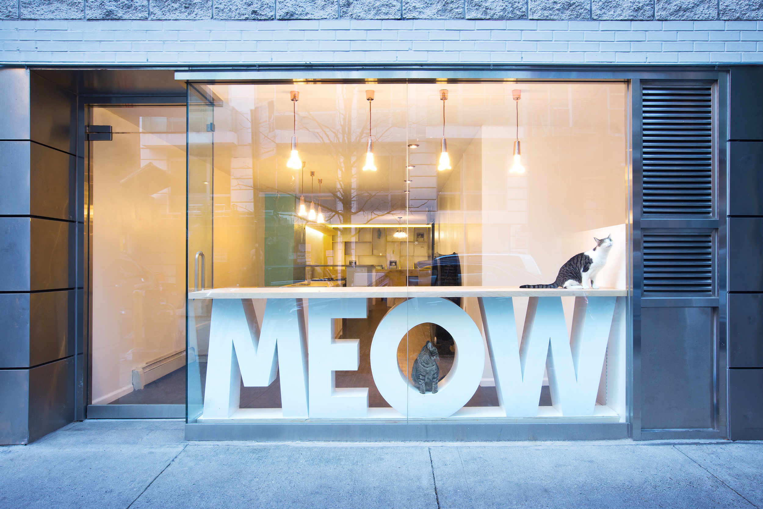 Sonya Lee Architect_MeowParlour_Storefront.jpg