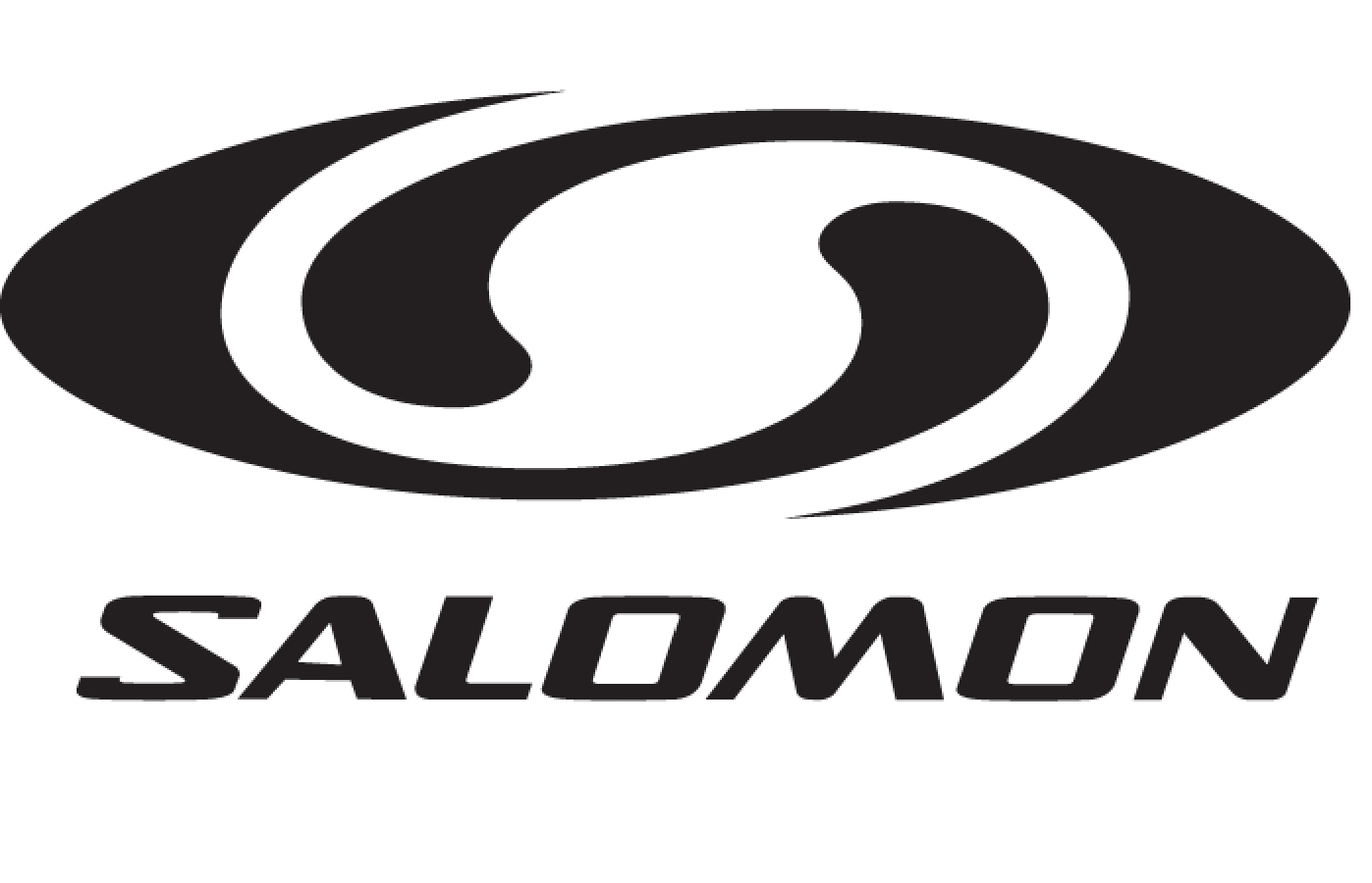 logo_salomon.jpg