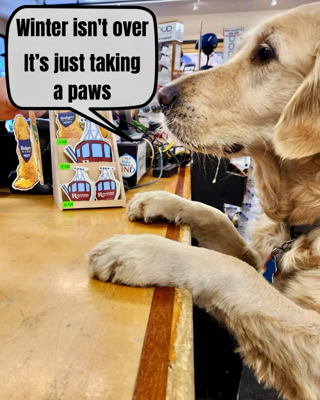 Don&rsquo;t fur-get, there&rsquo;s still plenty of season left! 🐾❄️