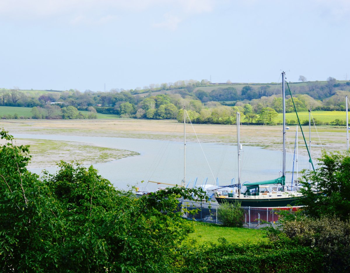 nelson esturary view half tide1_0.jpg