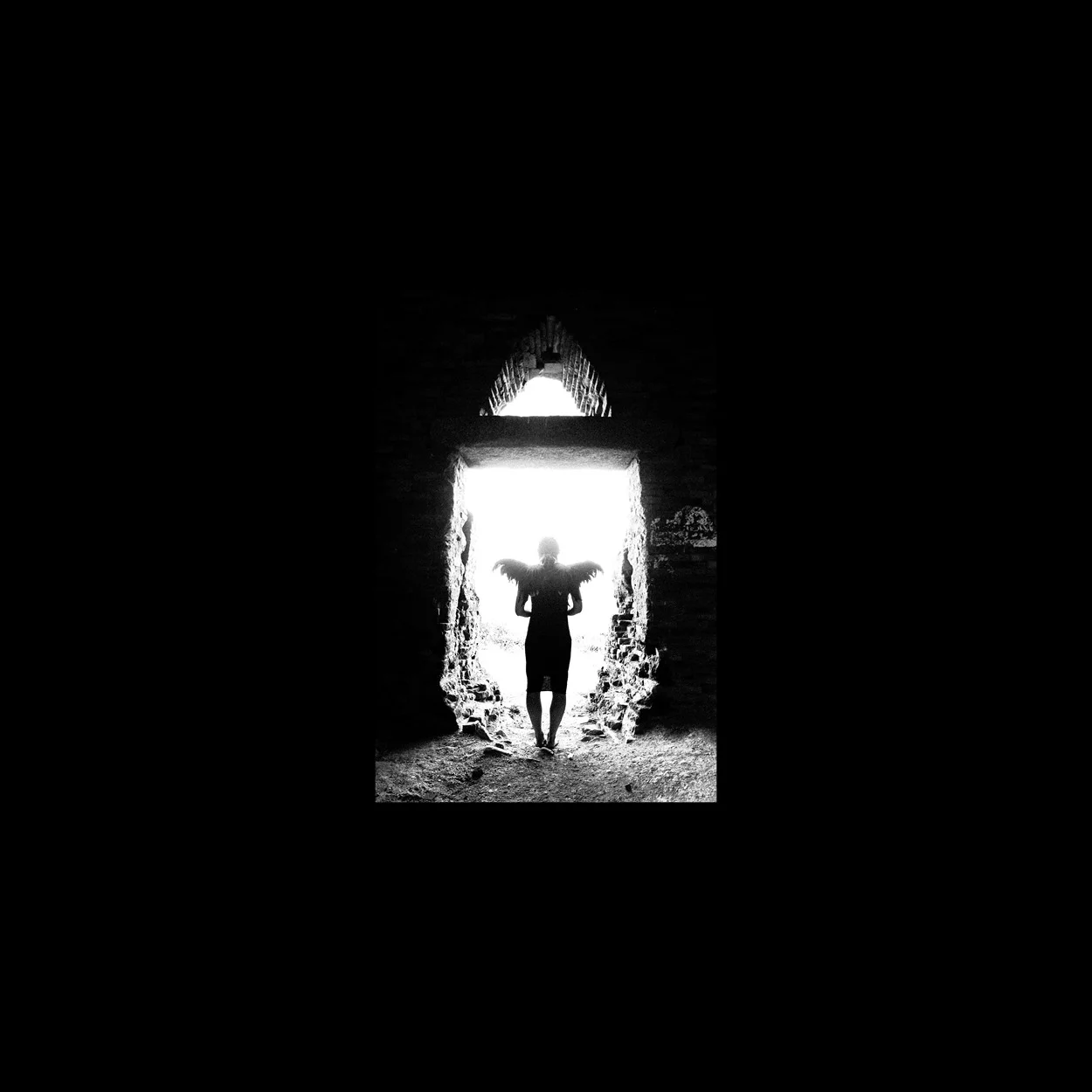 We Were Meant To Be a Gentle People / Dao Strom (book)