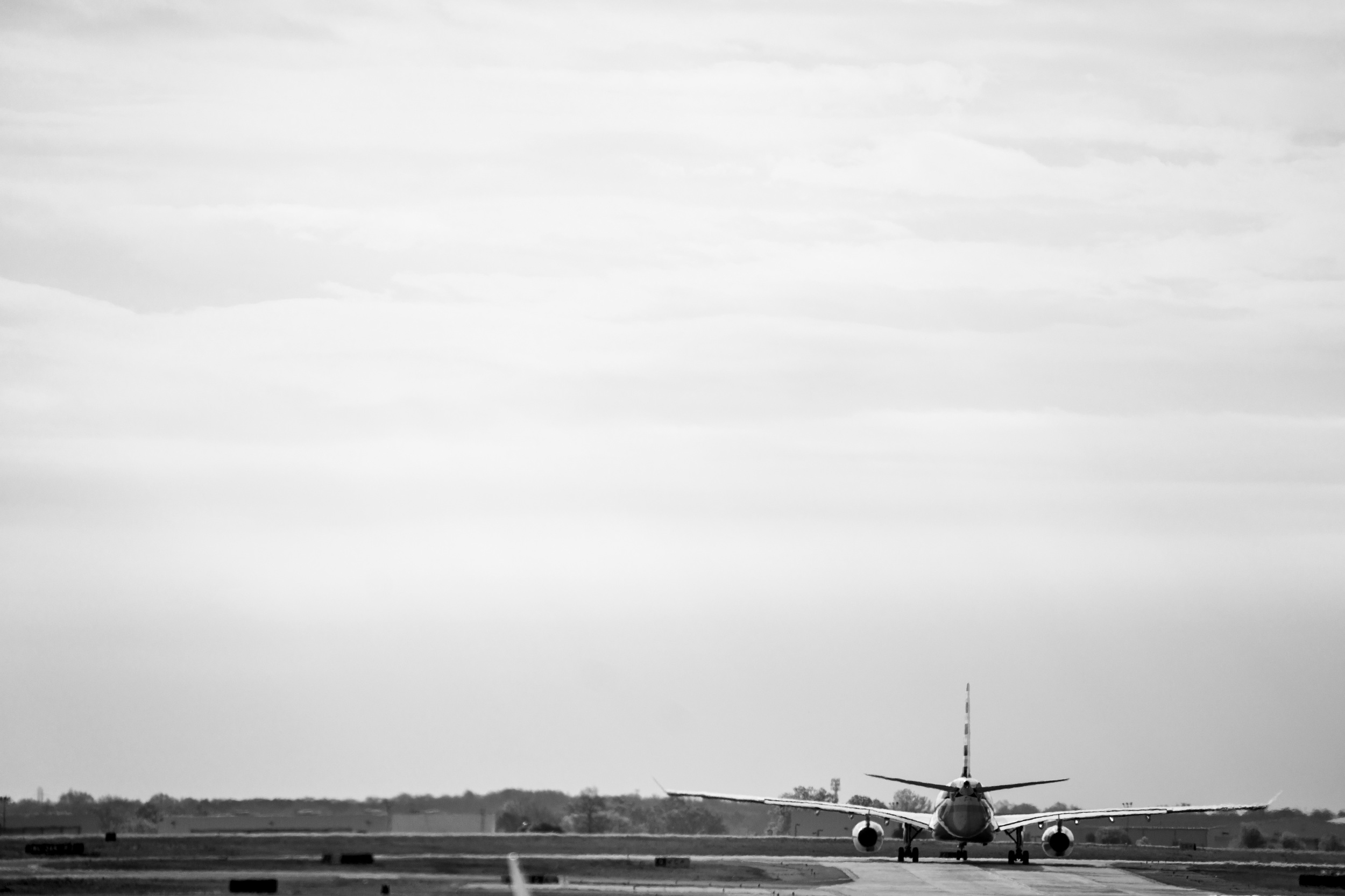 DSC00176.jpg