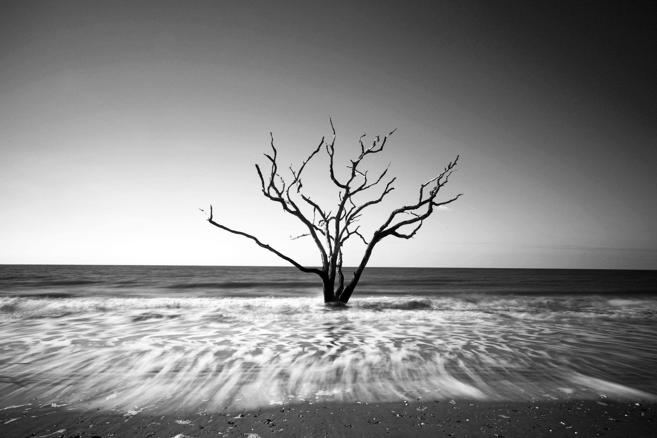 Botany Bay