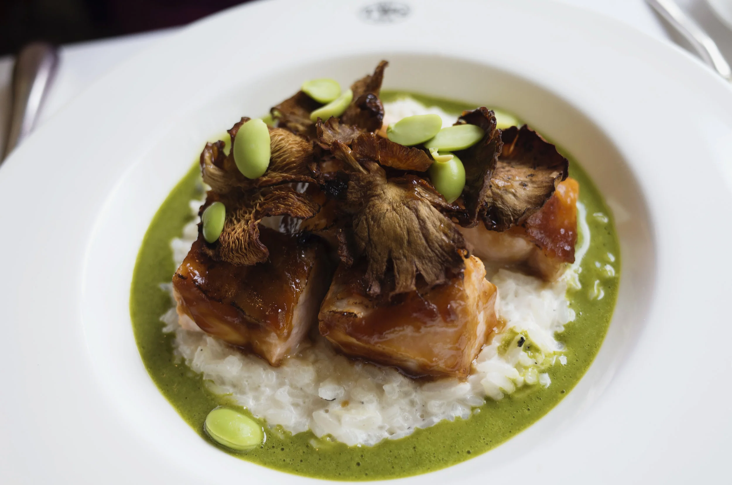 twg norwegian salmon.jpg