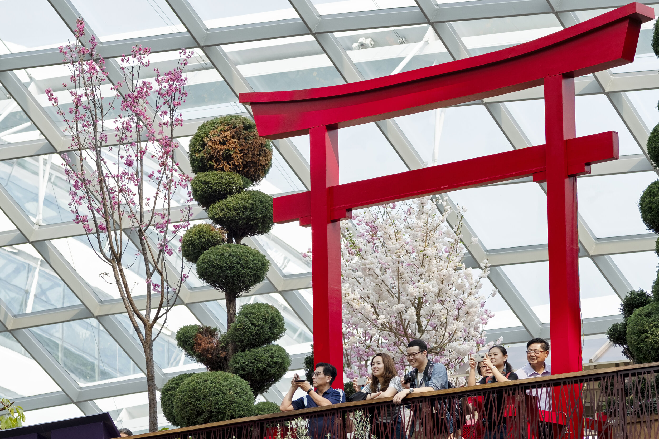  People take pictures and enjoy the view under a faux torii gate during the Sakura Matsuri floral display at Gardens by the Bay in Singapore 