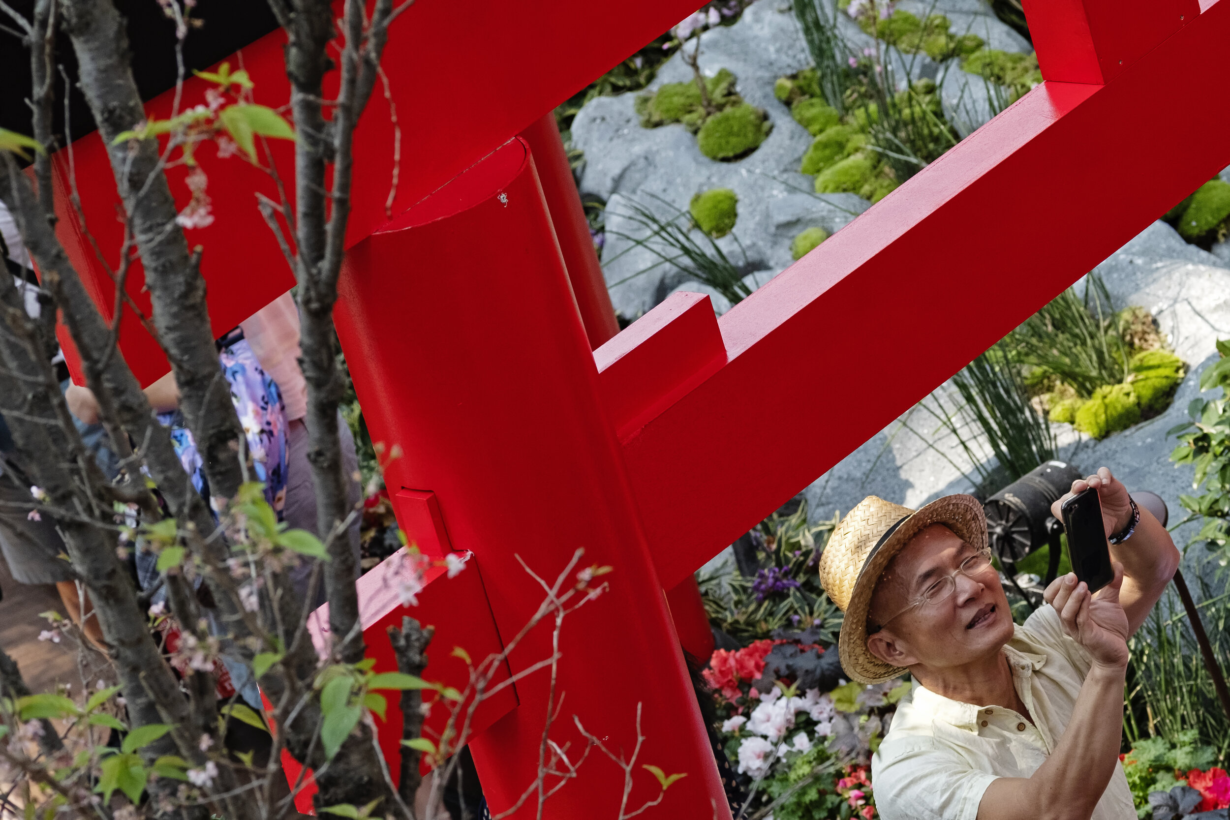  A man takes pictures of cherry blossoms with his smartphone during the Sakura Matsuri floral display at Gardens by the Bay in Singapore 