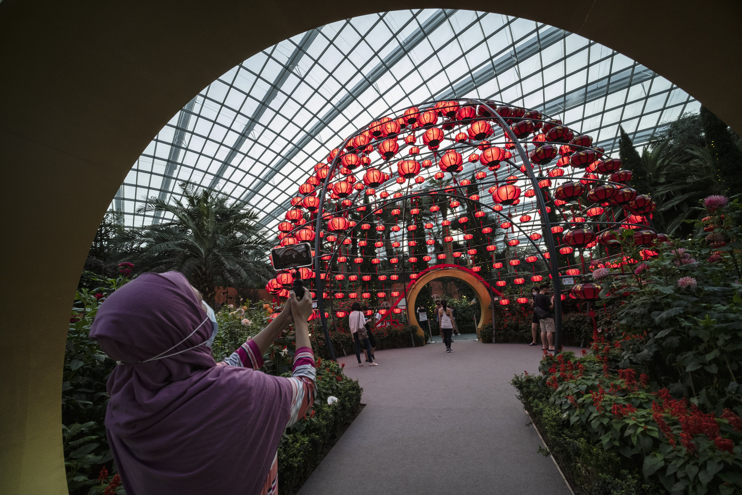  A woman uses a smartphone to document her visit to the annual Dahlia Dreams floral display ahead of the Chinese Lunar New Year of the Ox, otherwise known as the Spring Festival, at Singapore's Gardens by the Bay, January 31, 2021. REUTERS/Loriene Pe