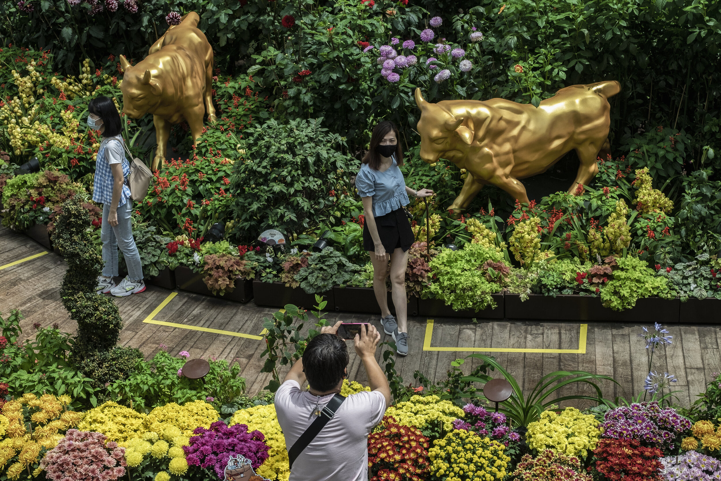  Visitors wearing face masks pose with ox sculptures during the annual Dahlia Dreams floral display ahead of the Chinese Lunar New Year of the Ox, otherwise known as the Spring Festival, at Singapore's Gardens by the Bay, January 31, 2021. REUTERS/Lo