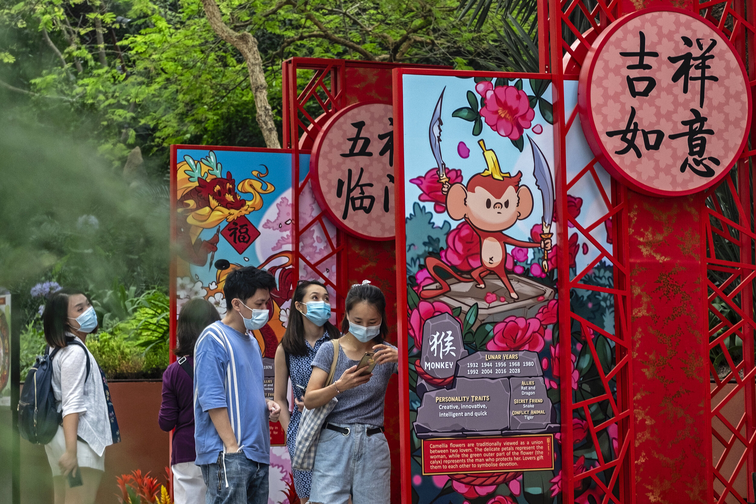  People check out information boards on Chinese zodiac animals during the annual Dahlia Dreams floral display ahead of the Chinese Lunar New Year of the Ox, otherwise known as the Spring Festival, at Singapore's Gardens by the Bay, January 31, 2021. 