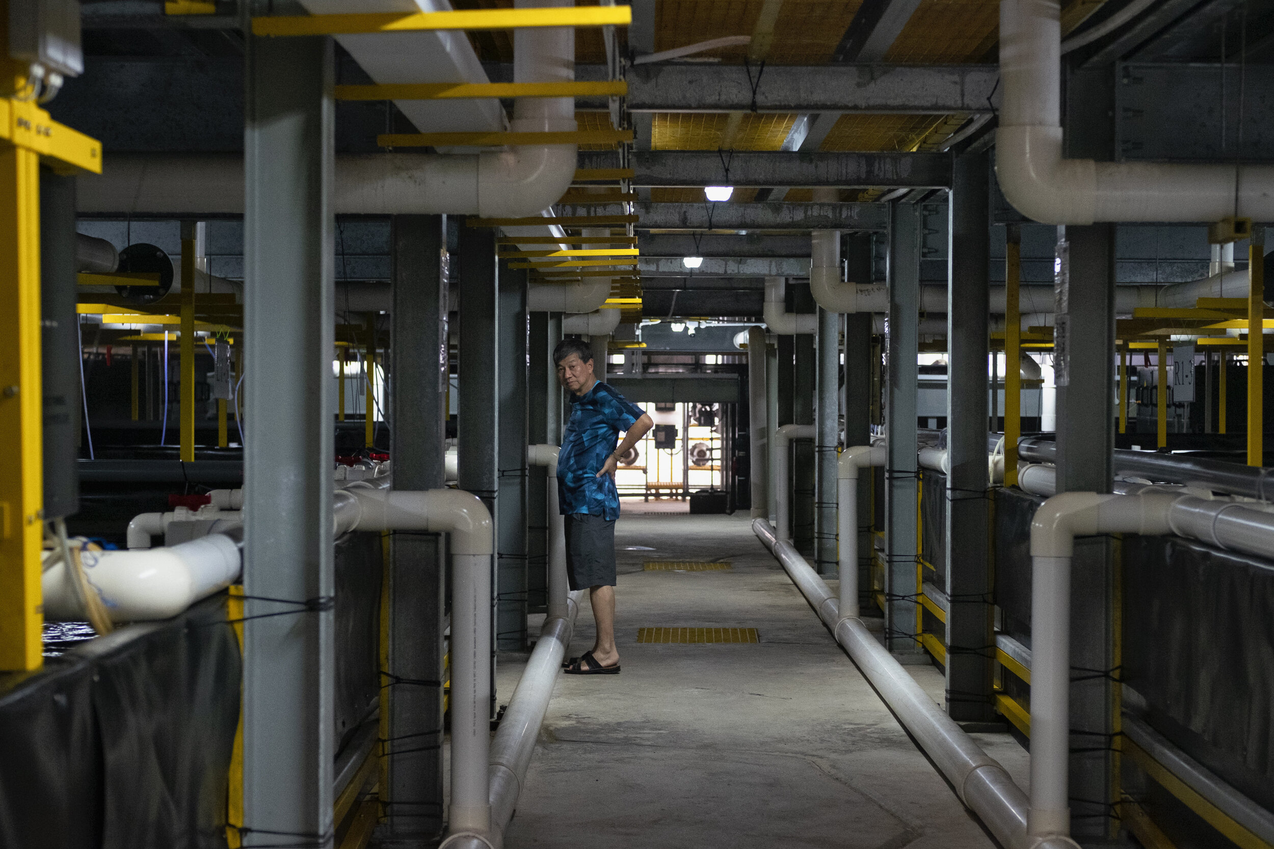  Lucky Phua, group deputy CEO of Apollo Aquaculture Group, looks on at the base level of their two-tiered vertical fish farm in northern Singapore 