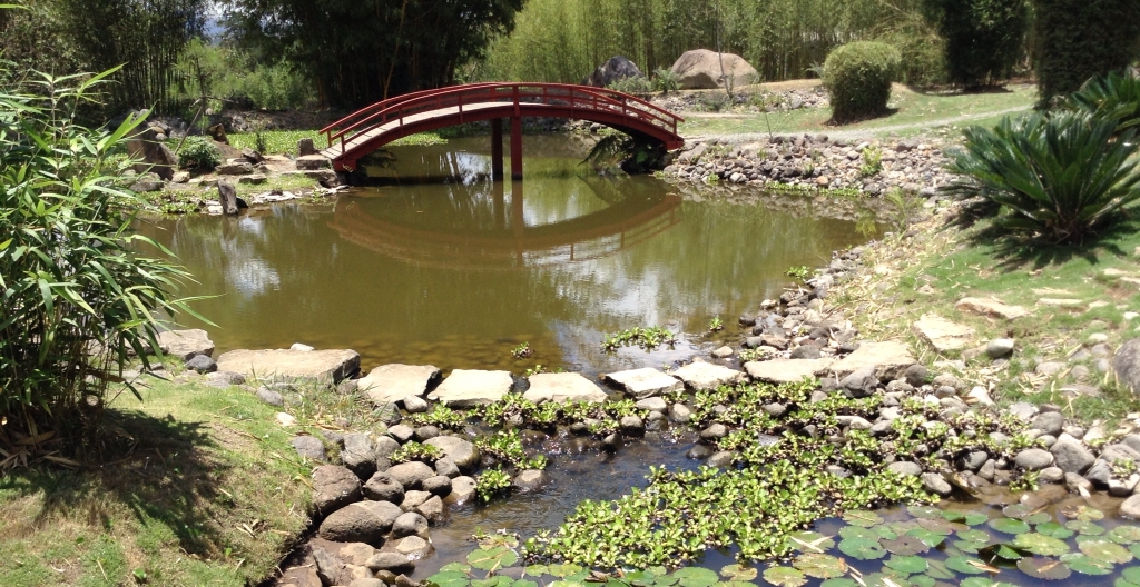 Lankester Garden 2013, Connie Komack