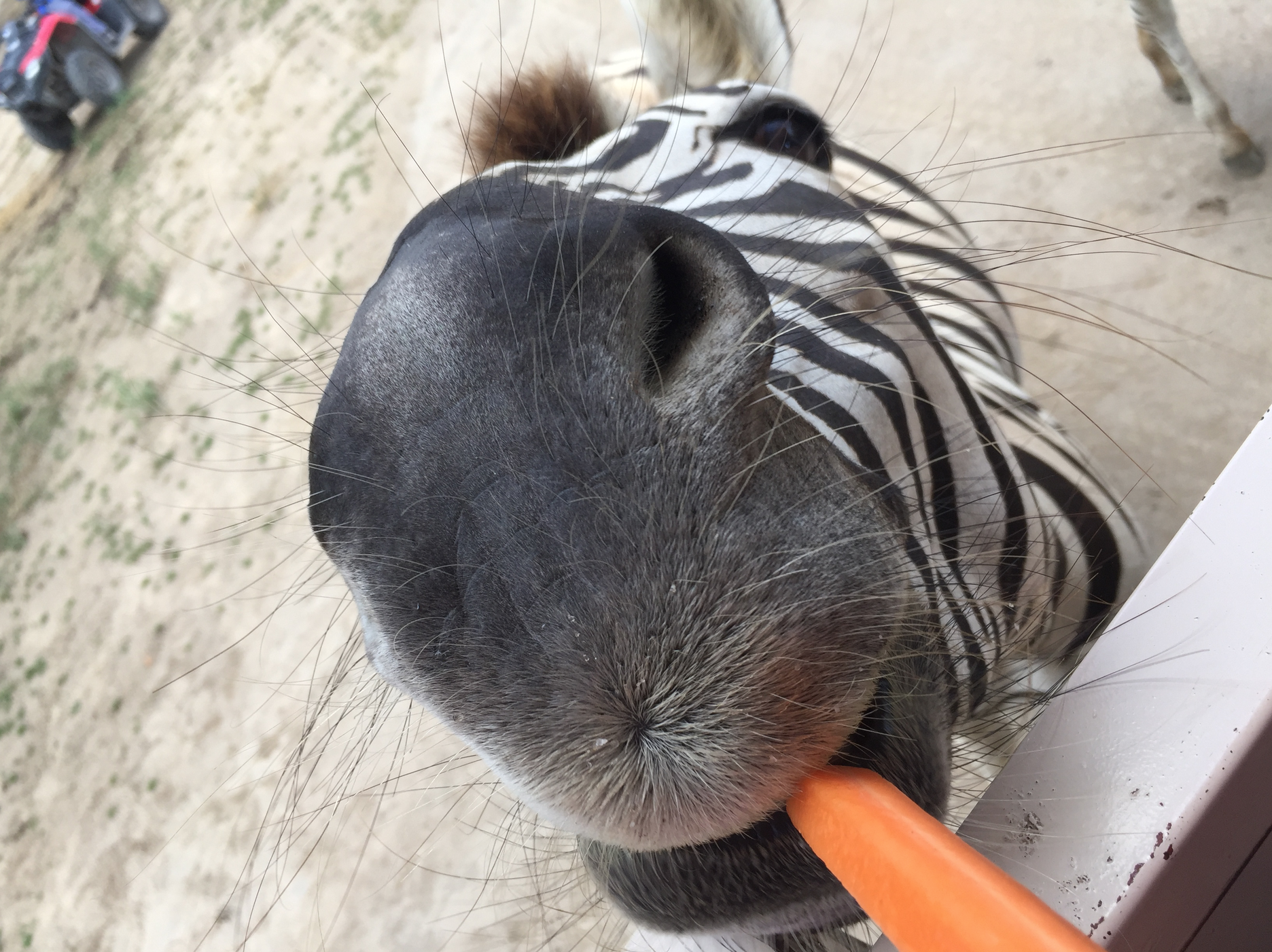 5 Security tips to know when traveling to Costa Rica