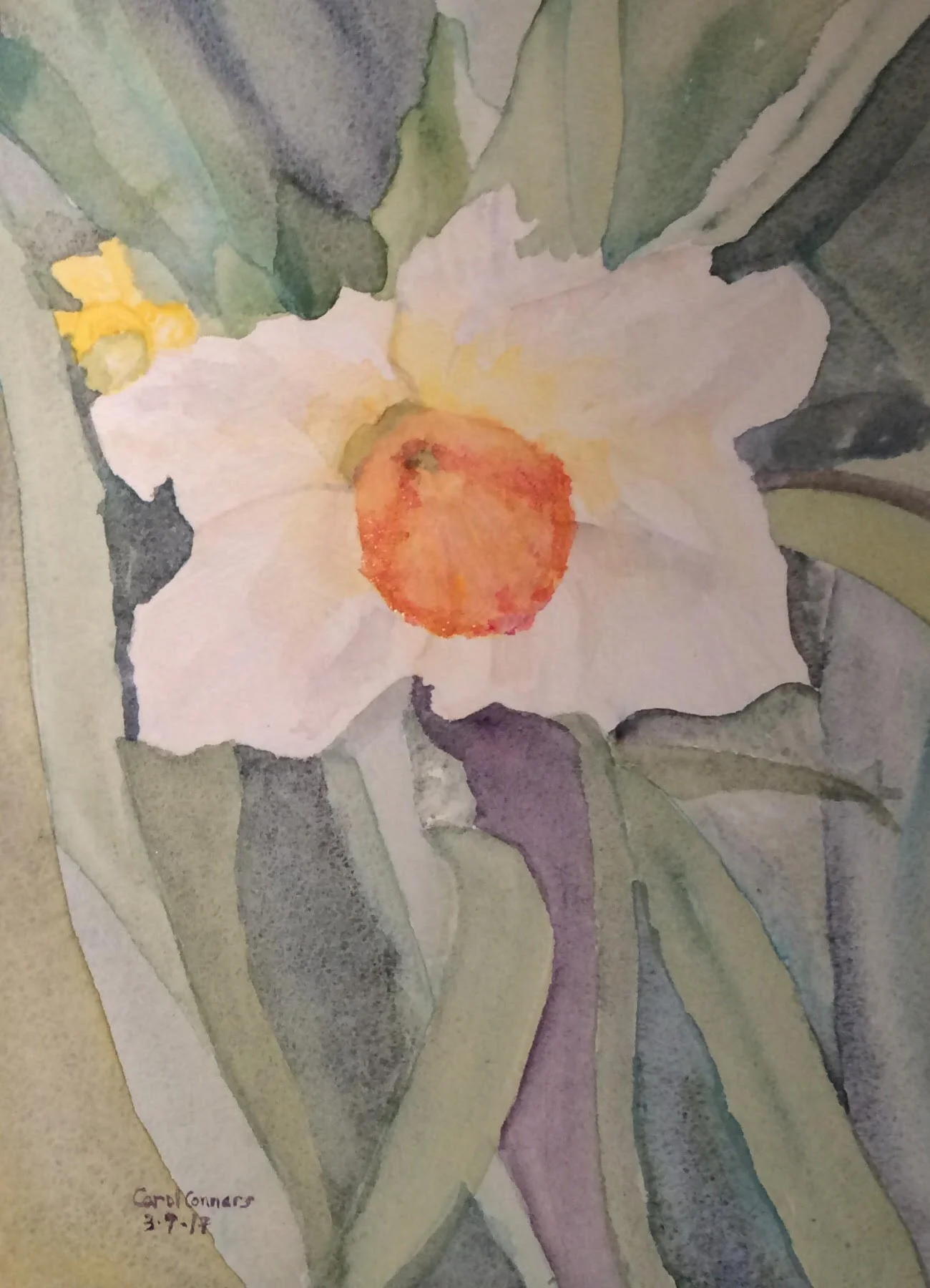 Daffodil
