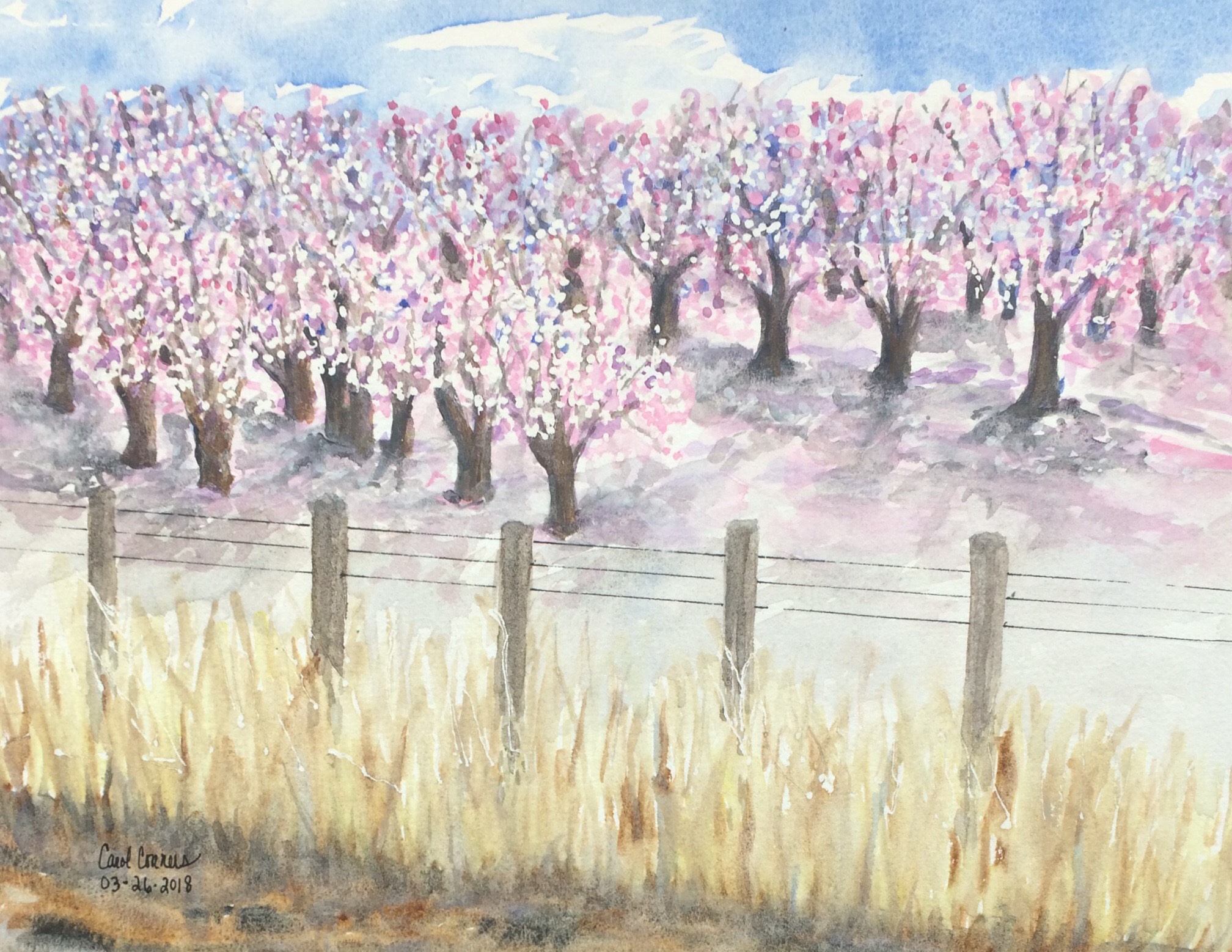 Almond Grove
