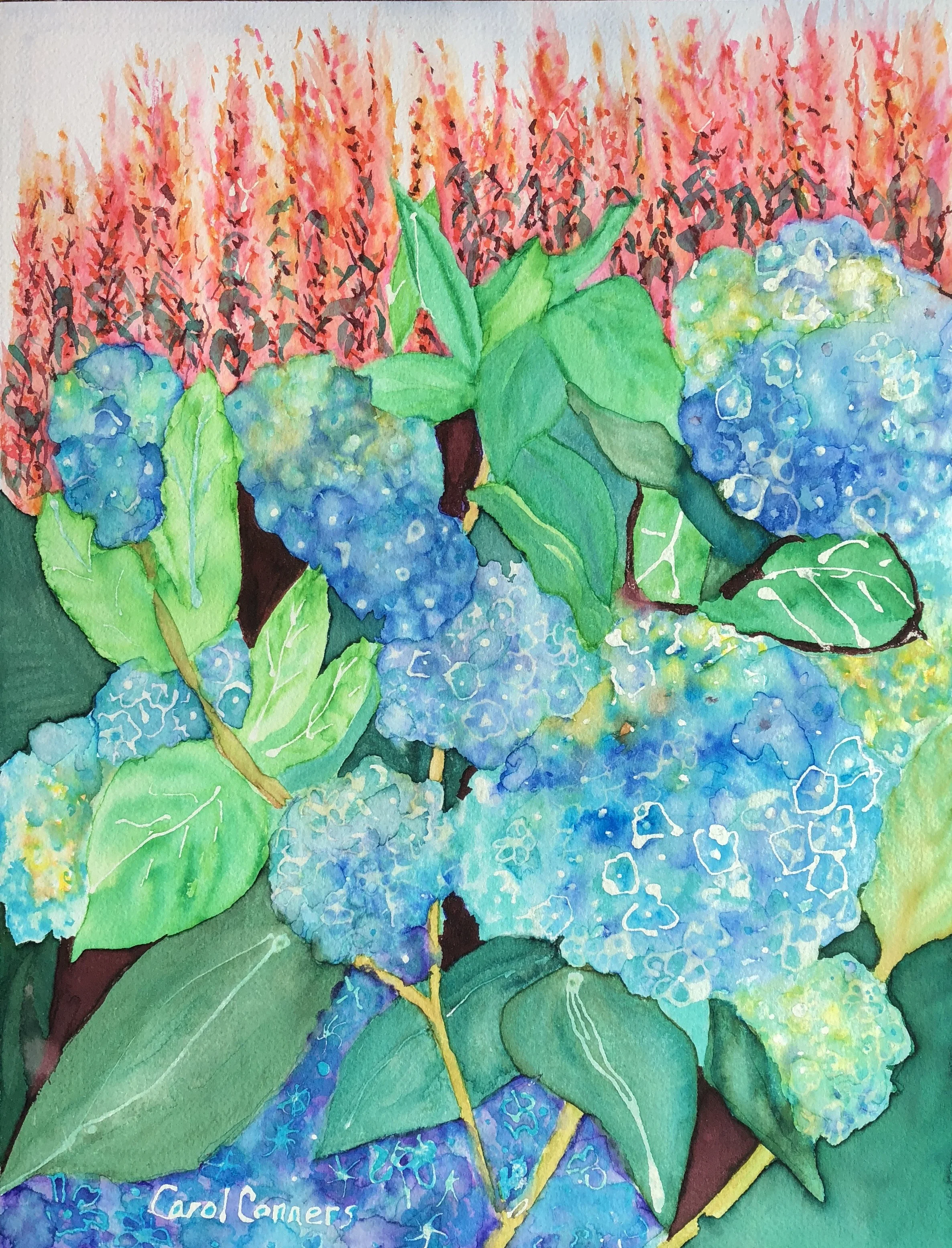 Hydrangeas and Agastache 1