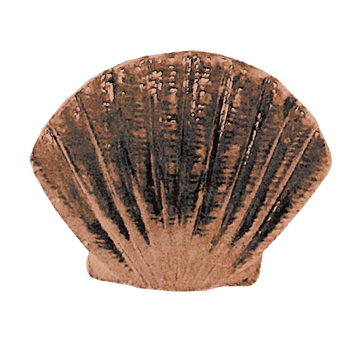 MS-9211-SCALLOP 1X1 COPPER.png