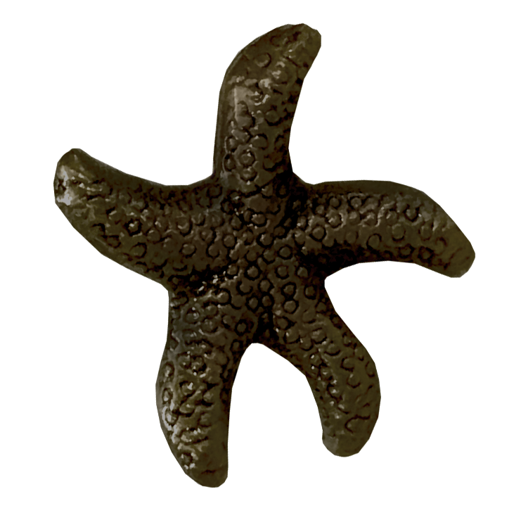 MS-9311-STARFISH 1X1 OIL RUBBED BRONZE.png