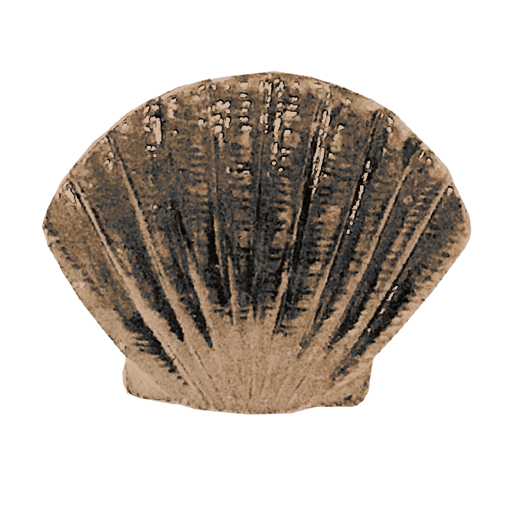 MS-9111-SCALLOP 1X1 BRASS.png