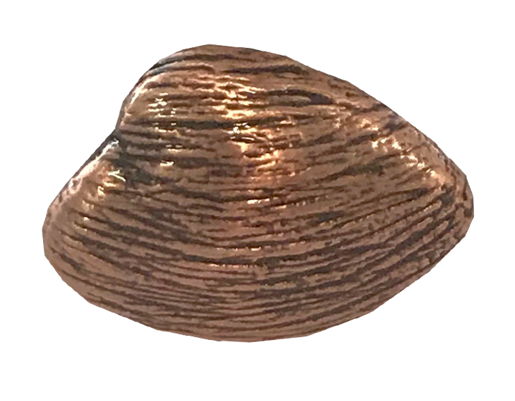 MS-9211-CLAM 1X1 COPPER.png