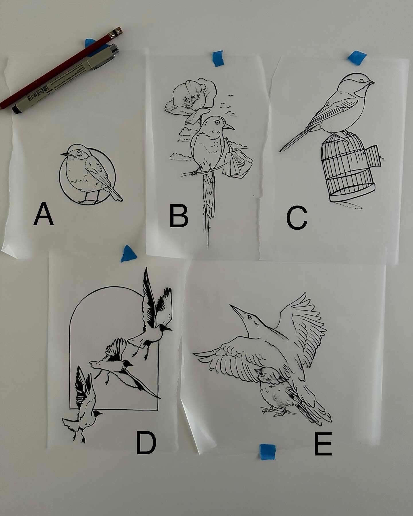 Birds I drew that I&rsquo;d like to tattoo. Want one? EMAIL chipperharbin@yahoo.com and specify A, B, C, D, or E