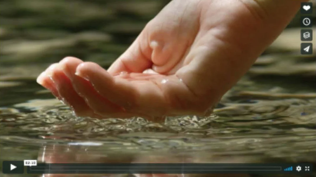 VideoStill-120617.jpg